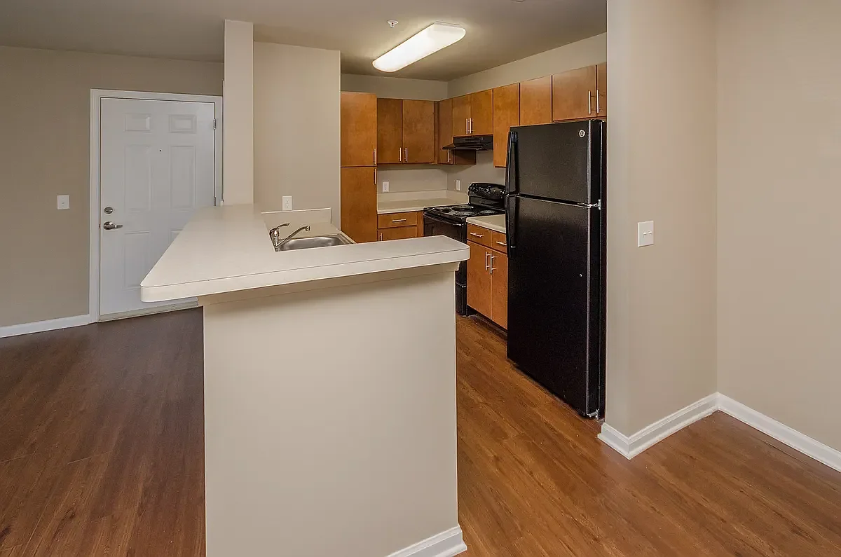 b4bac46e86ac363dcbbcb8ee3b071dd2-rentals_large_1200_1200.webp